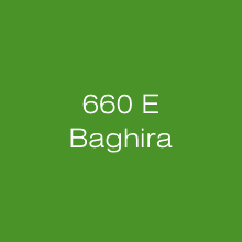 MZ 660 E Baghira